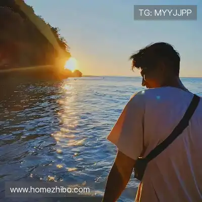董治鹤